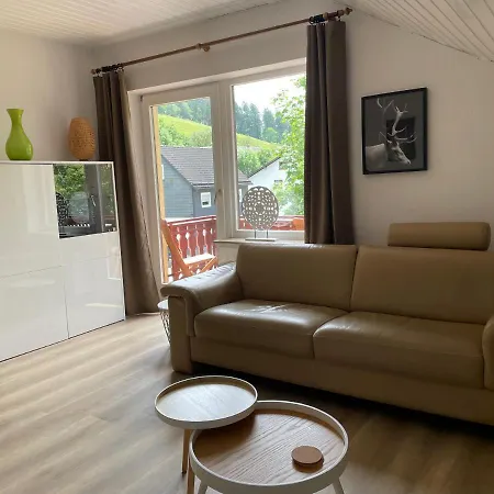 5 Willingen Apartment Willingen (Upland)