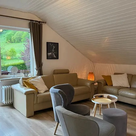 Sonnentraum - 5 Apartamento Willingen (Upland)