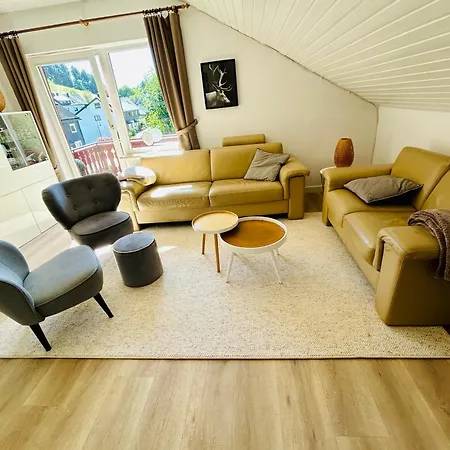 Apartment Sonnentraum - 5 Willingen (Upland)